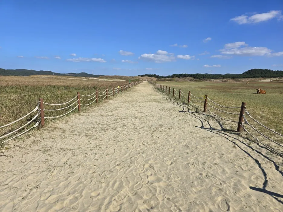 KakaoTalk_20241107_060444539.jpg?type=w1