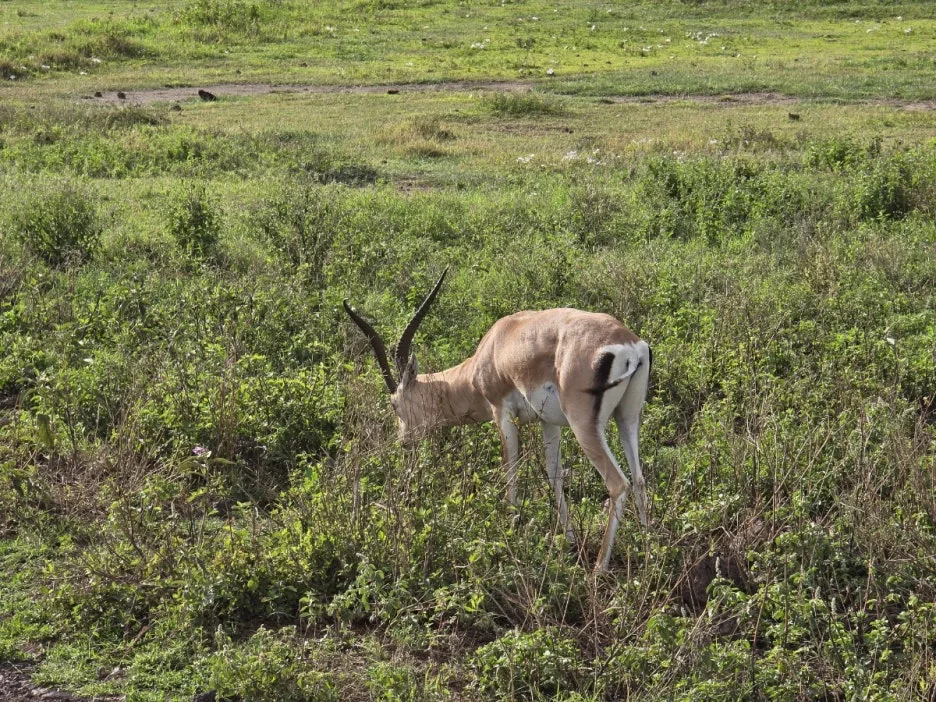 KakaoTalk_20250405_153555823_07.jpg?type=w1