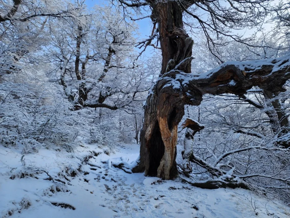 KakaoTalk_20240806_083145095_02.jpg?type=w1