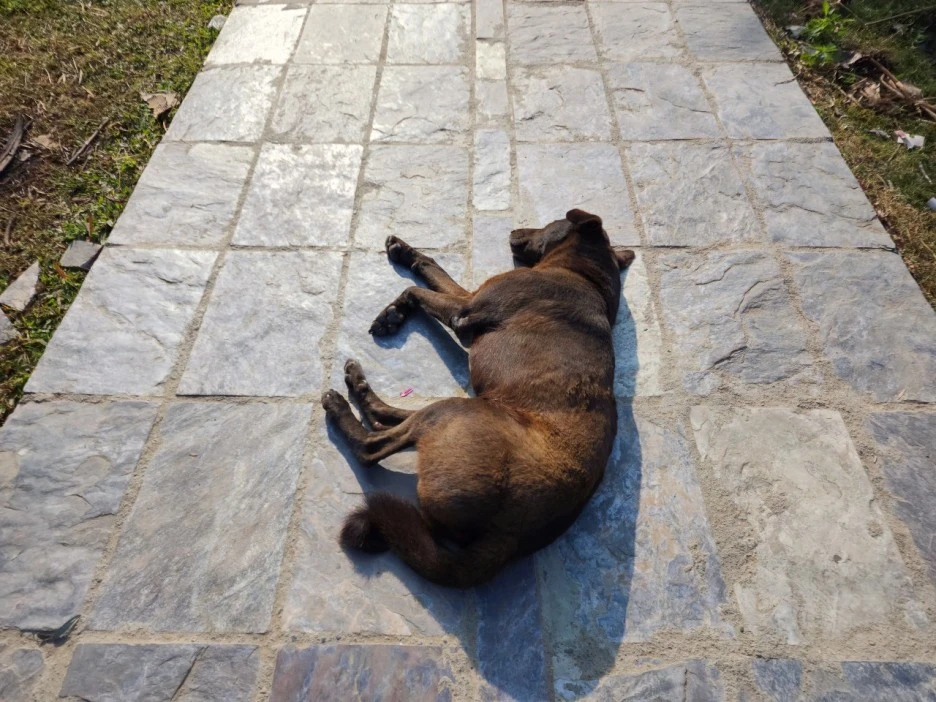 KakaoTalk_20221121_090312427_03.jpg?type=w1