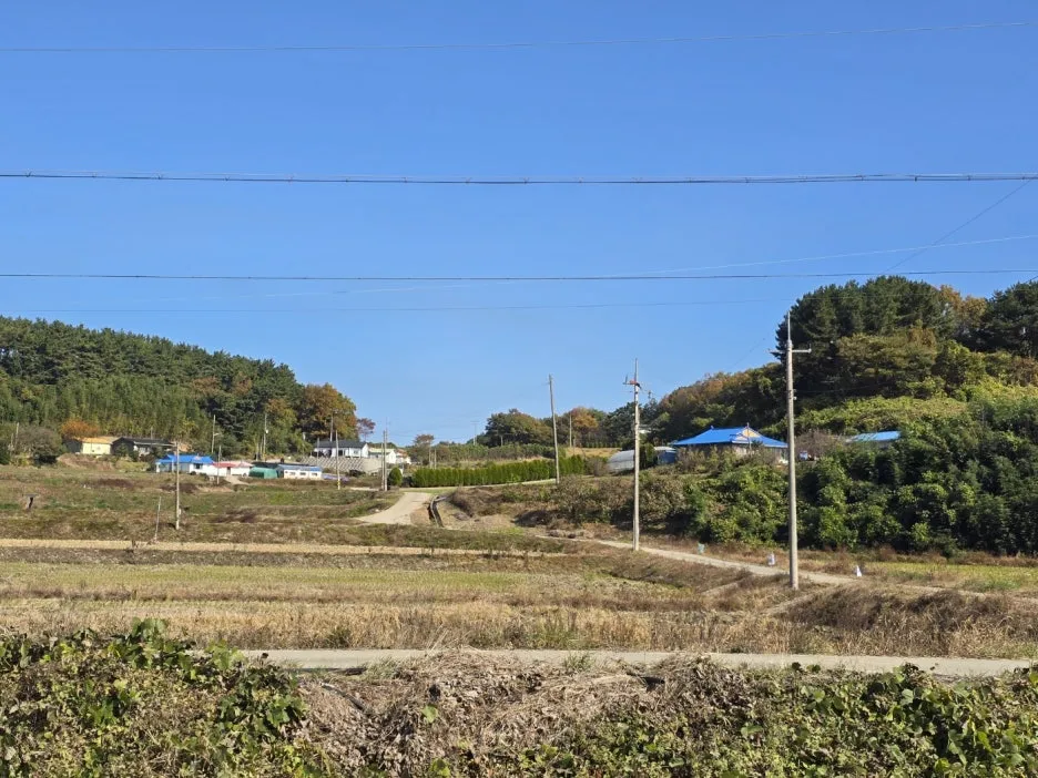 KakaoTalk_20241113_031257885_17.jpg?type=w1