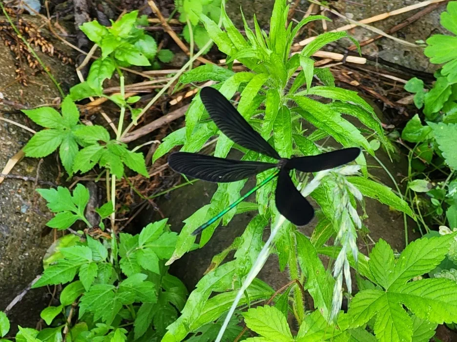 KakaoTalk_20240623_164104547_03.jpg?type=w1