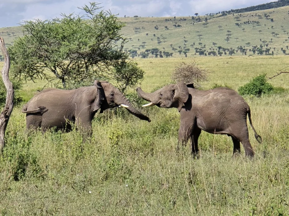 KakaoTalk_20250405_135250372_13.jpg?type=w1