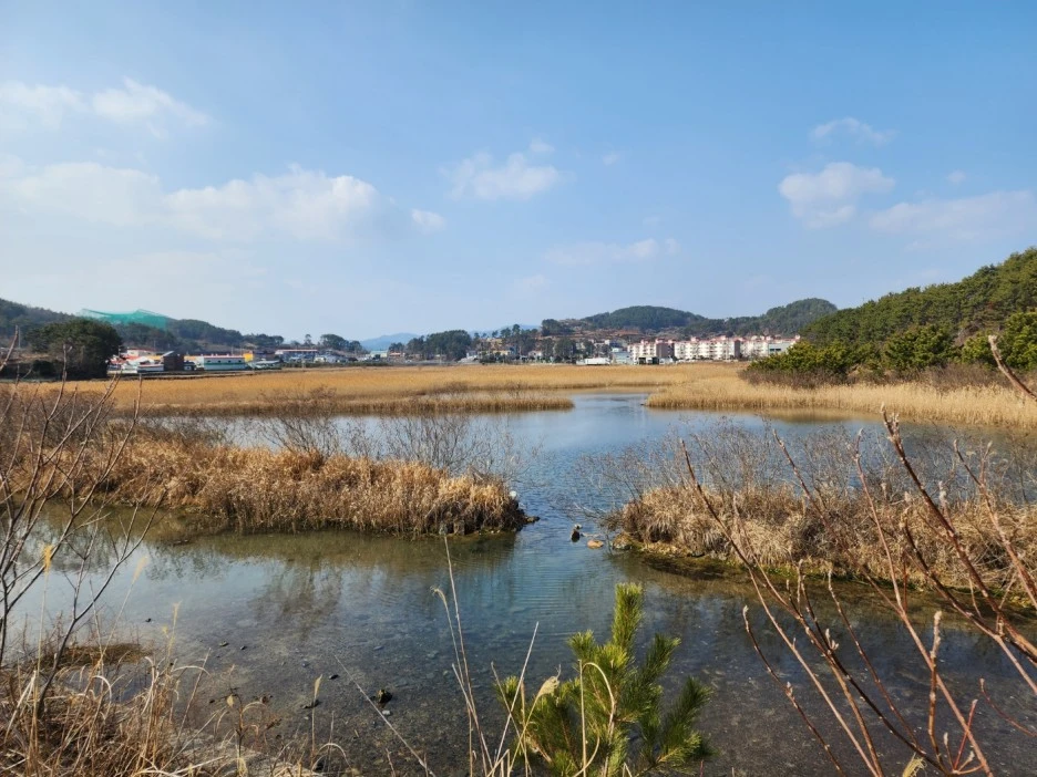 KakaoTalk_20230215_160103600_01.jpg?type=w1