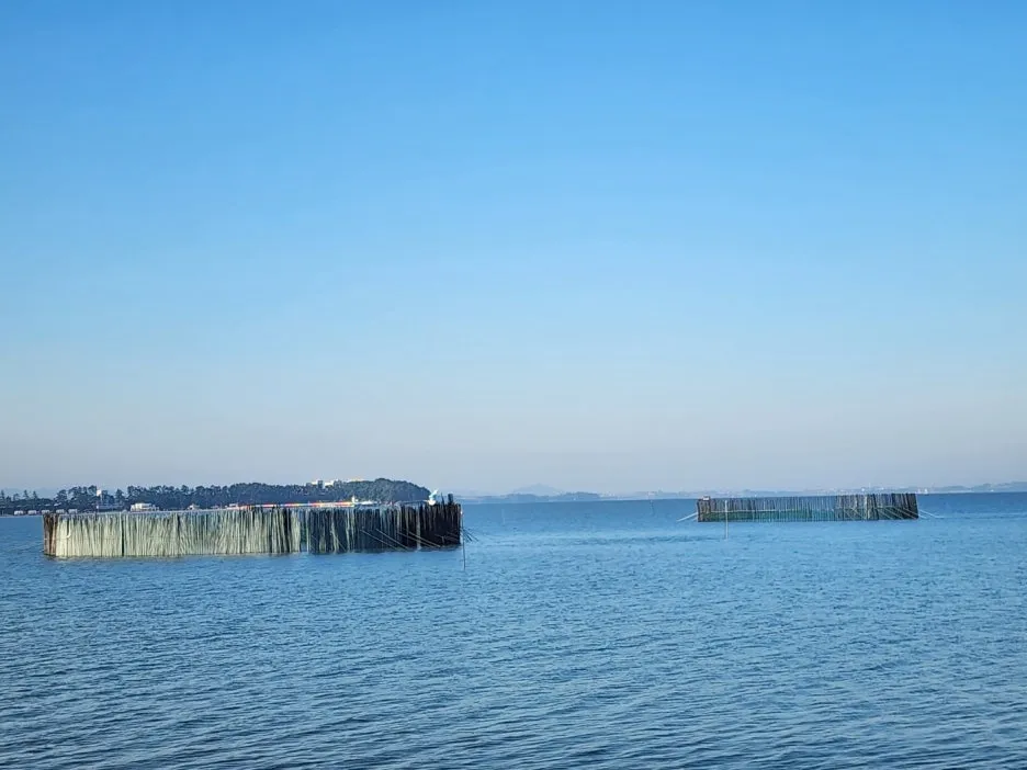 KakaoTalk_20240529_170254177_08.jpg?type=w1