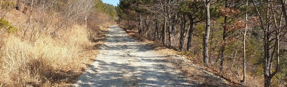 SE-2471f04b-d1fd-446c-8b33-9dbd8a4582f6.jpg?type=w1