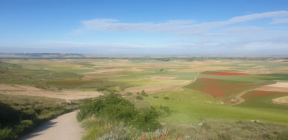 KakaoTalk_20220601_001743765_06.jpg?type=w1