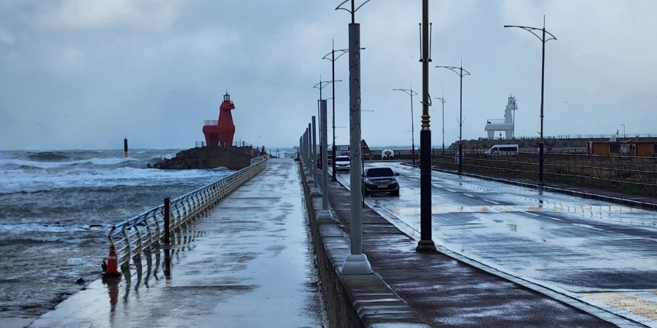 SE-f619a5dc-df3a-48a5-8a91-7cd55ee59bbc.jpg?type=w1