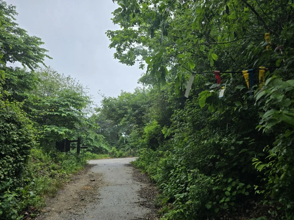 KakaoTalk_20250616_162403225_15.jpg?type=w1