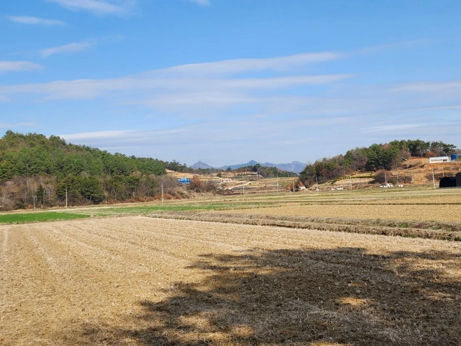 KakaoTalk_20230319_032634270_10.jpg?type=w1