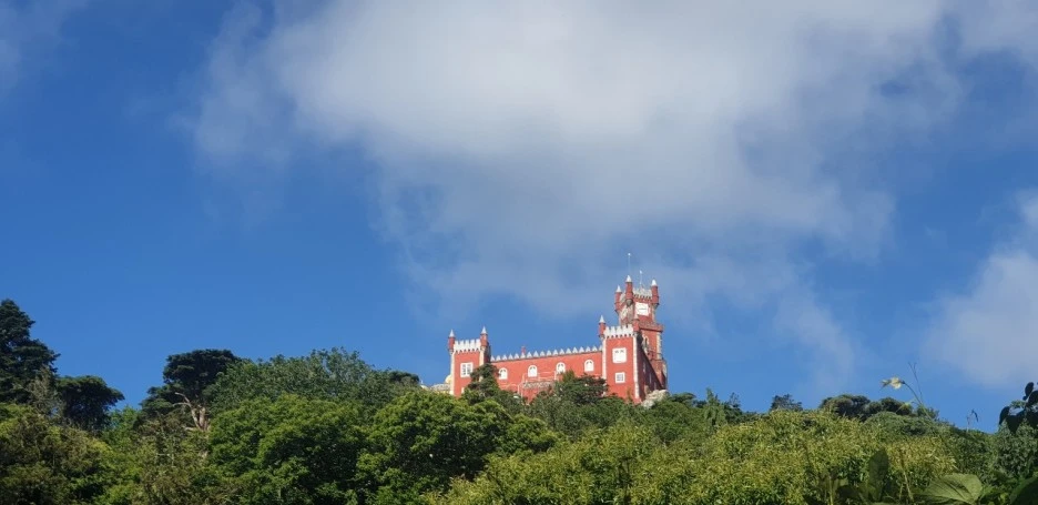 KakaoTalk_20220626_223607818_01.jpg?type=w1