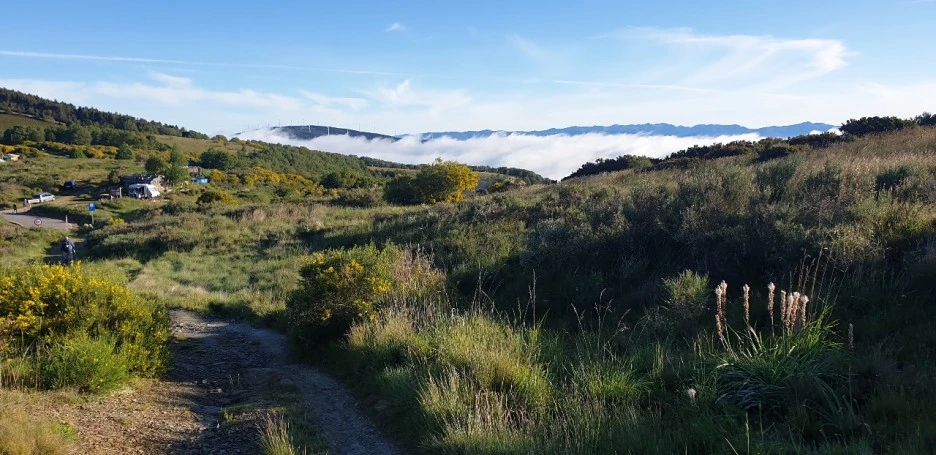 KakaoTalk_20220608_014443366_04.jpg?type=w1