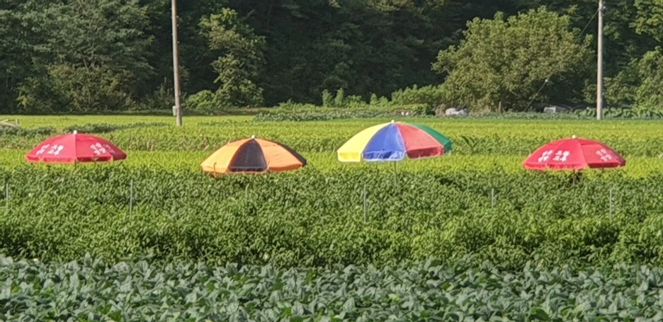 20210828_085750.jpg?type=w1