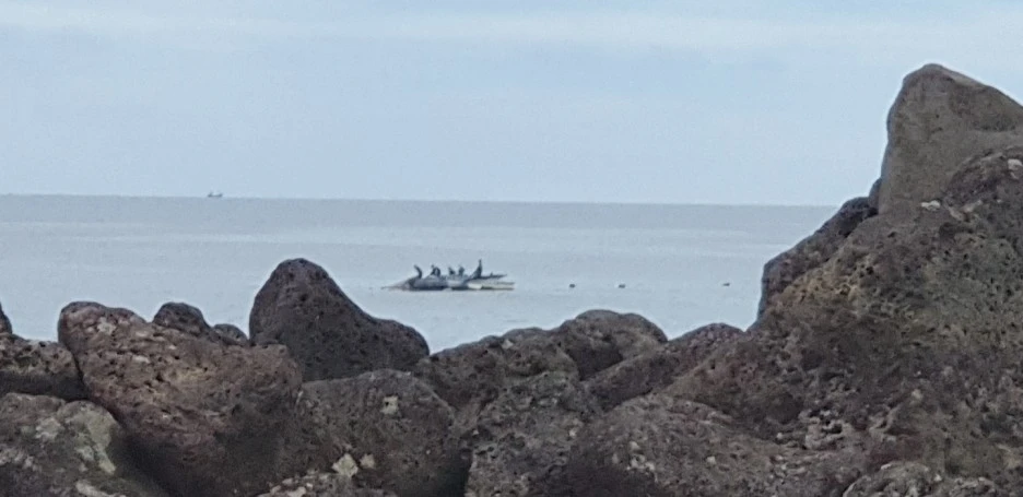 KakaoTalk_20220828_043707461_01.jpg?type=w1