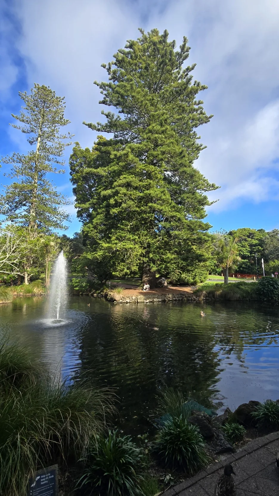 KakaoTalk_20251115_075343906_18.jpg?type=w1