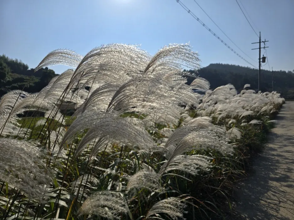 KakaoTalk_20241112_044854649_19.jpg?type=w1