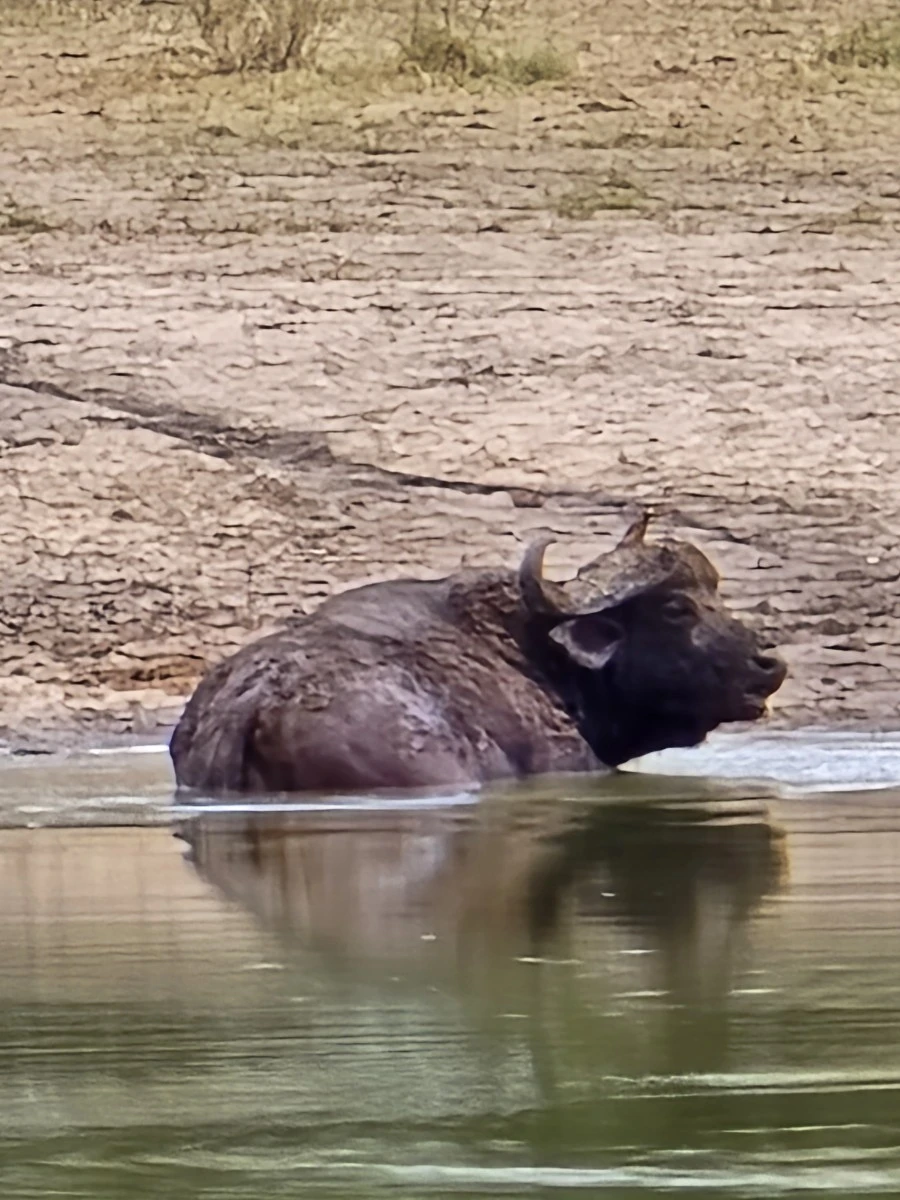 KakaoTalk_20250405_112215504_14.jpg?type=w1