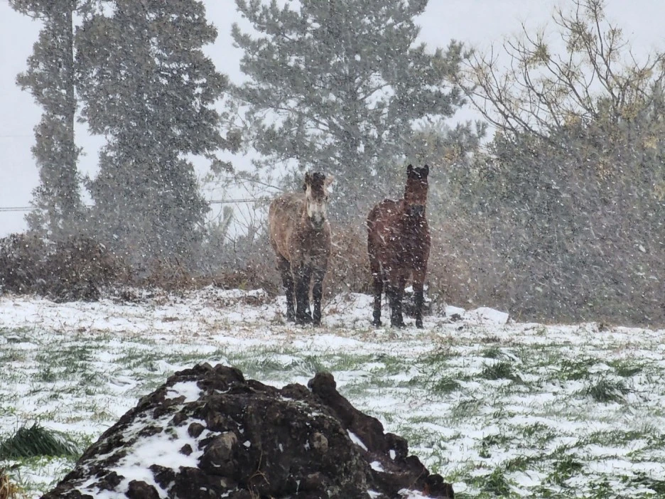 KakaoTalk_20221228_163817525_01.jpg?type=w1