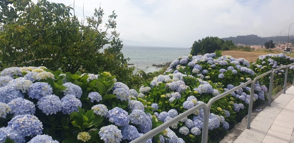 KakaoTalk_20220621_024759802_10.jpg?type=w1