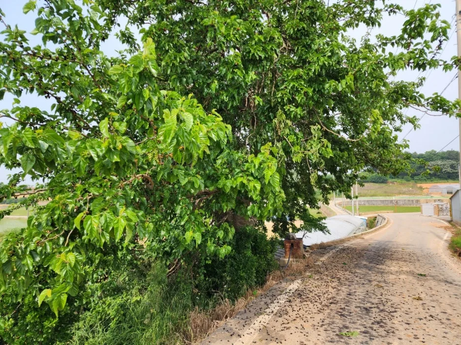 KakaoTalk_20240522_154457657_21.jpg?type=w1