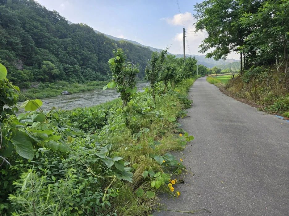 KakaoTalk_20250623_164208778_04.jpg?type=w1