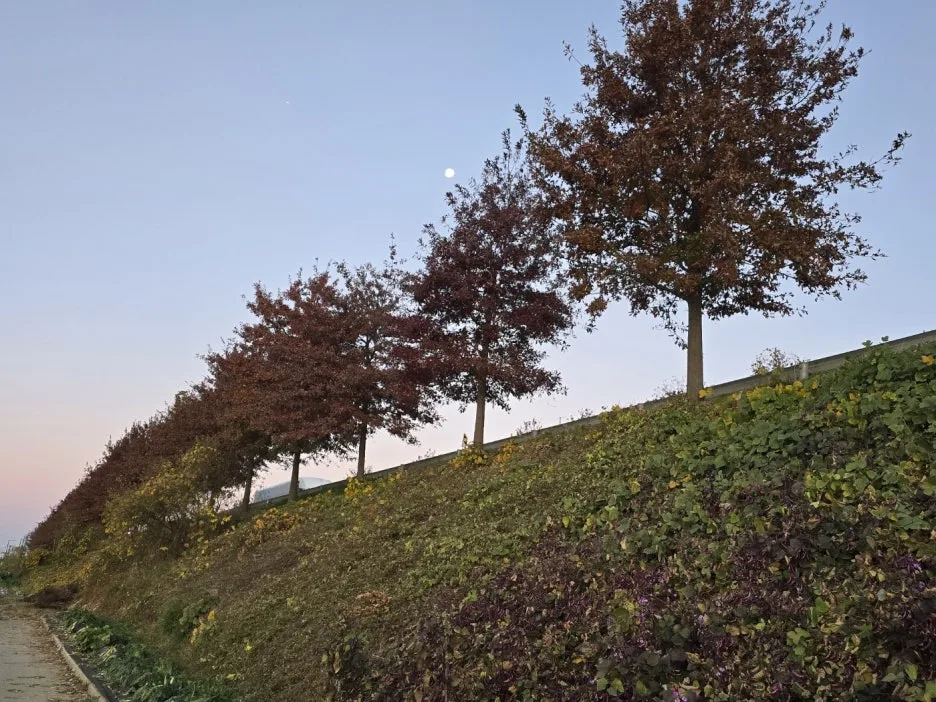 KakaoTalk_20241119_051244597_02.jpg?type=w1