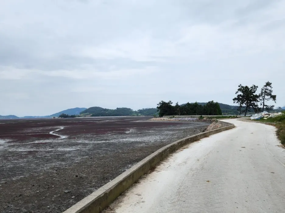 KakaoTalk_20240526_220649914_26.jpg?type=w1