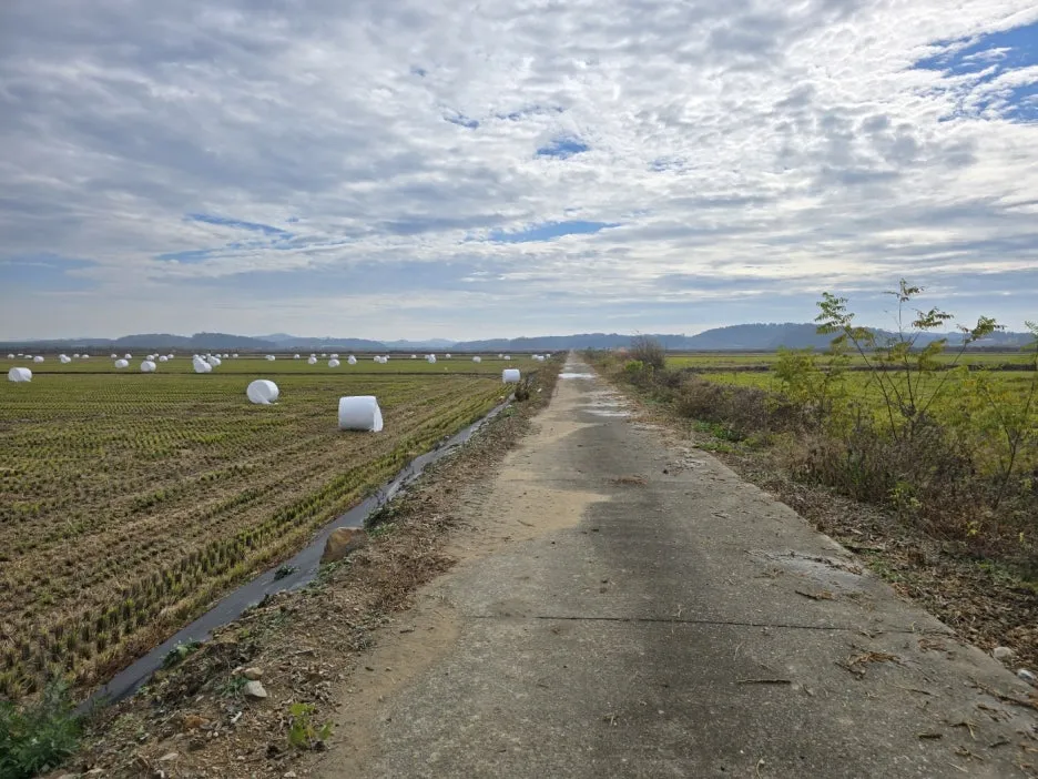 KakaoTalk_20241116_023630166_14.jpg?type=w1