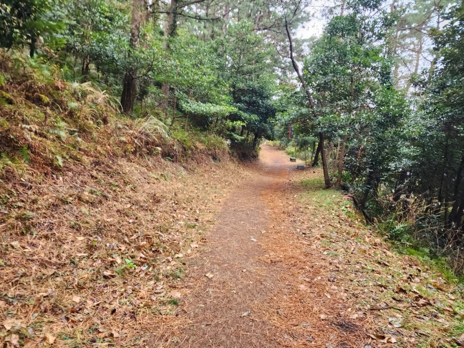 KakaoTalk_20221227_233431851_02.jpg?type=w1