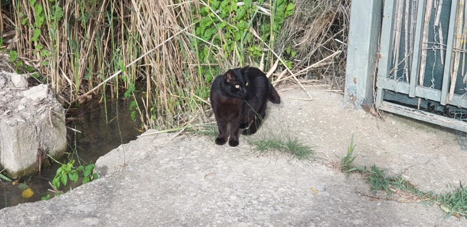 1653551496996.jpg?type=w1