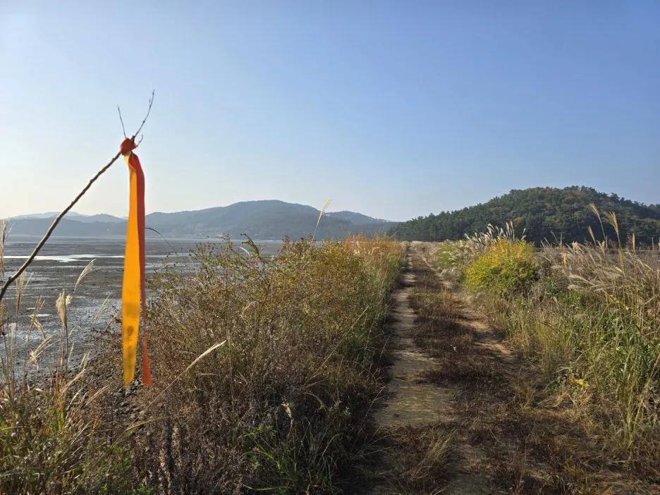 KakaoTalk_20241112_044854649_11.jpg?type=w1