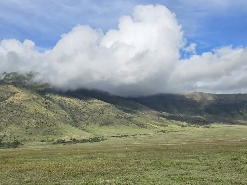 KakaoTalk_20250405_153555823_10.jpg?type=w1