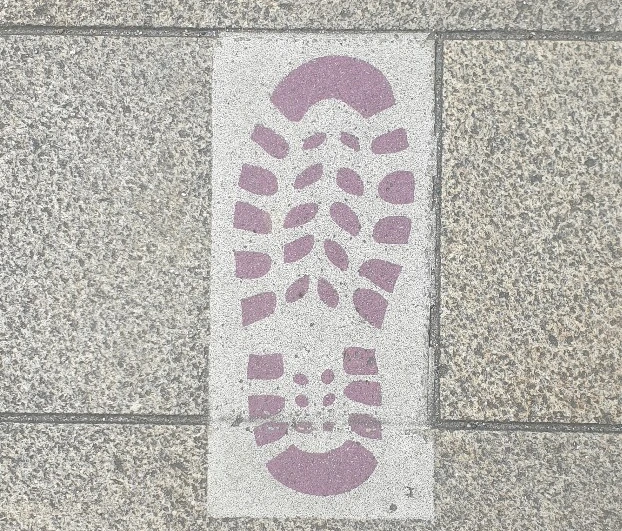 SE-4b26e00d-8ee1-432c-a4f2-57e11e73d4f1.jpg?type=w1