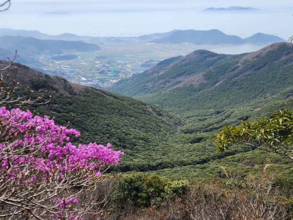 KakaoTalk_20230331_035853682_16.jpg?type=w1