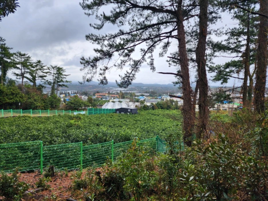 KakaoTalk_20221227_233431851_03.jpg?type=w1