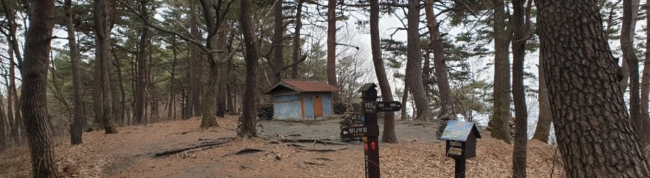 SE-4dd8d6f2-721e-4786-b4f7-36f127c6f23d.jpg?type=w1