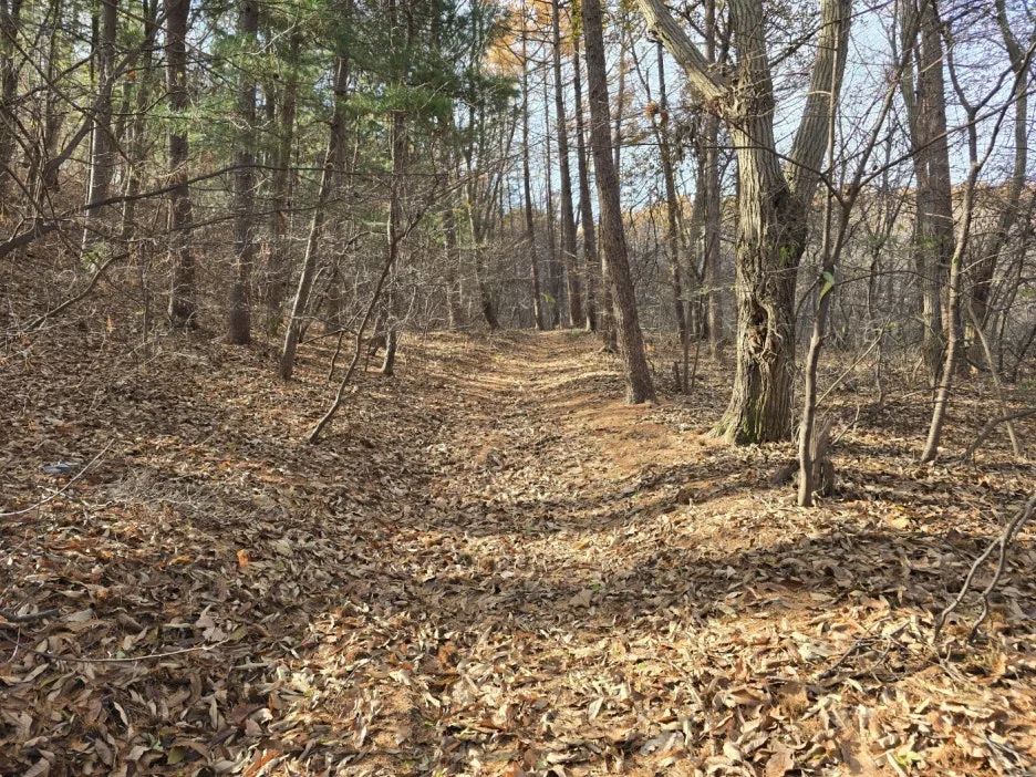 KakaoTalk_20241205_054240507_13.jpg?type=w1