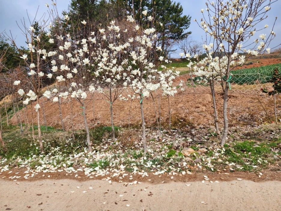 KakaoTalk_20230323_021520355_14.jpg?type=w1