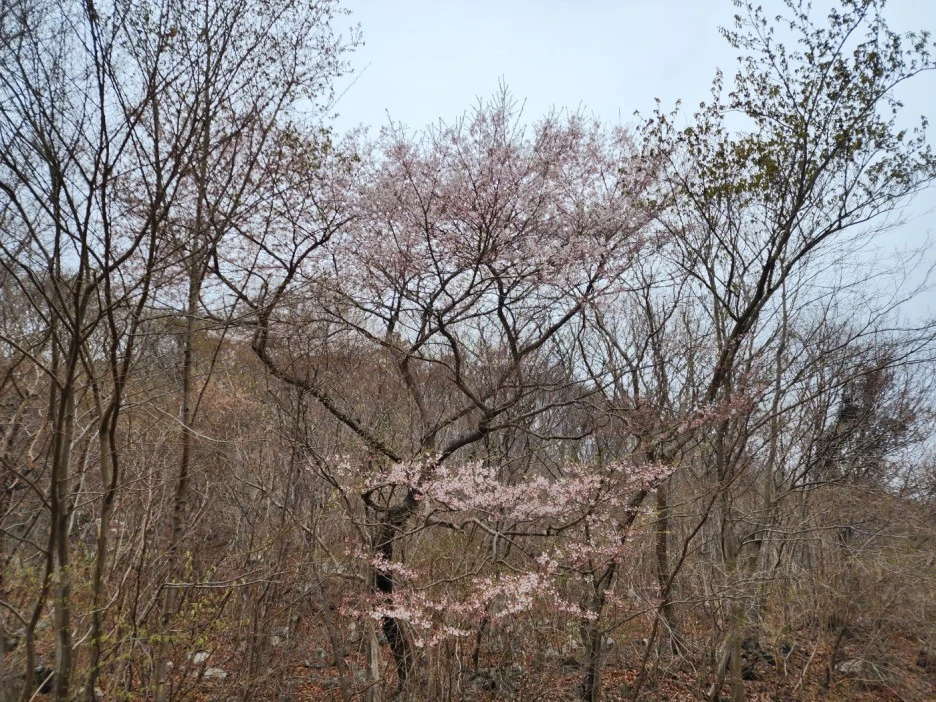 KakaoTalk_20230322_020016994_04.jpg?type=w1