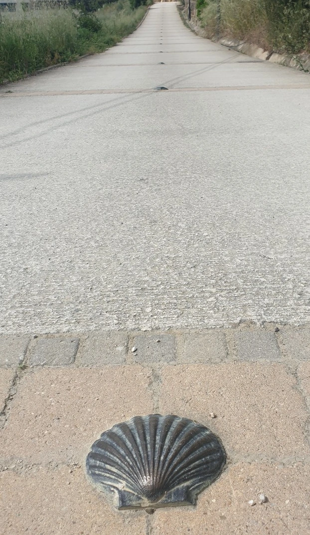 SE-a16d7833-36f3-49bd-8f74-35595b7be655.jpg?type=w1