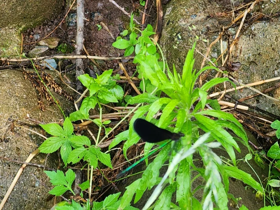 KakaoTalk_20240623_164104547_05.jpg?type=w1