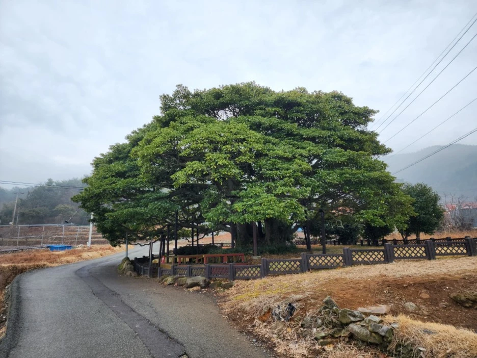 KakaoTalk_20230219_054911575_18.jpg?type=w1