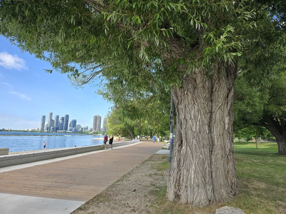 KakaoTalk_20250802_043149011_13.jpg?type=w1