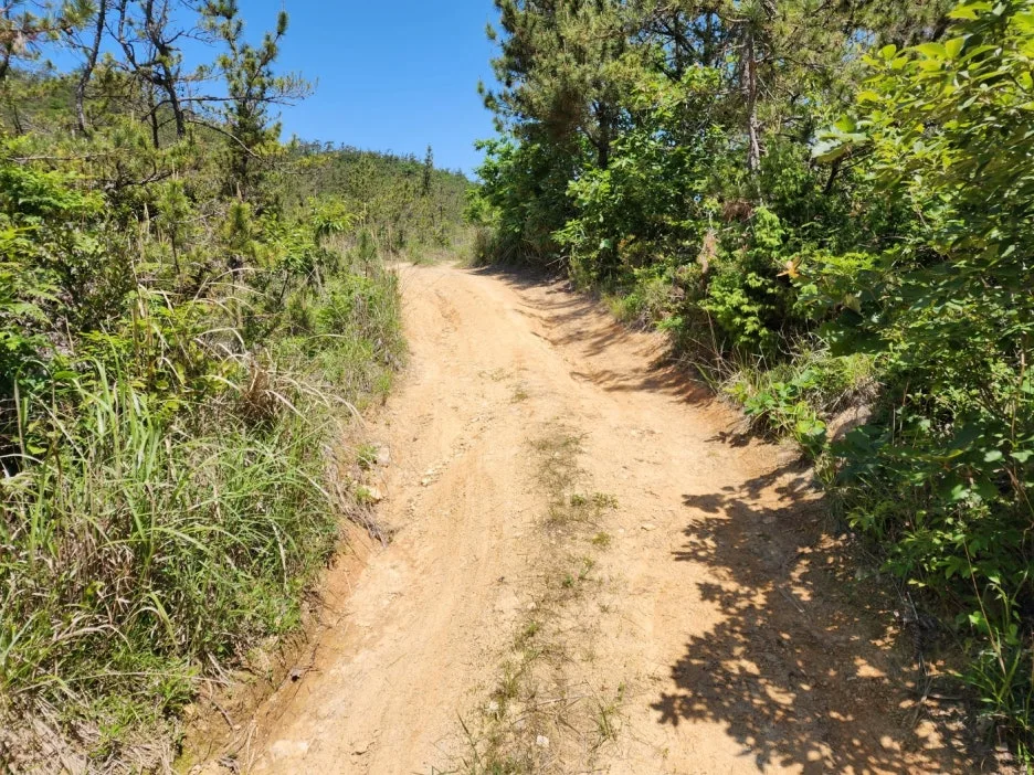 KakaoTalk_20240517_001534096_14.jpg?type=w1