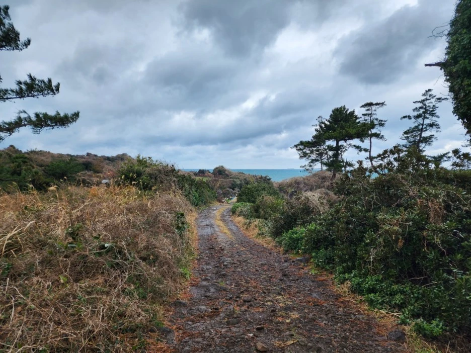 KakaoTalk_20221229_092204140_11.jpg?type=w1