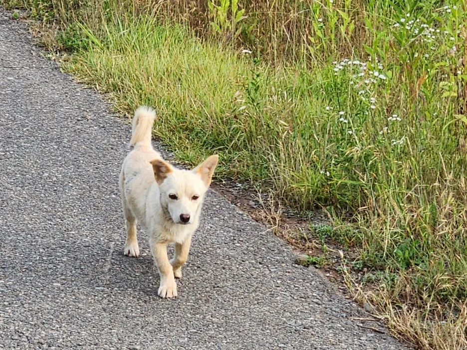 KakaoTalk_20240623_045454376.jpg?type=w1