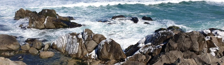 SE-e9a4e564-8351-49aa-be71-50f3c1bab737.jpg?type=w1