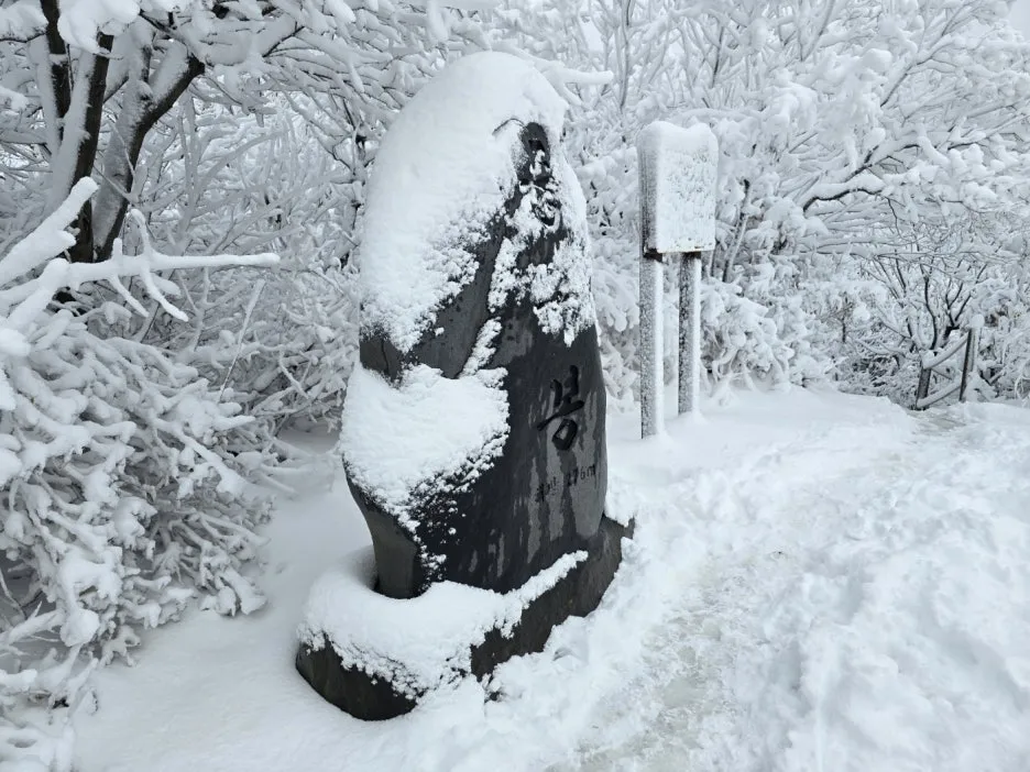 KakaoTalk_20241129_050938052_29.jpg?type=w1