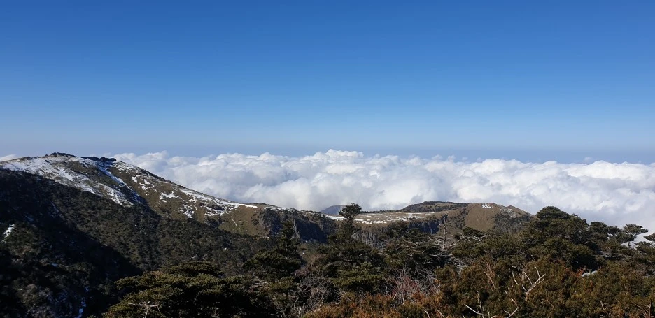 20211210_122200.jpg?type=w1