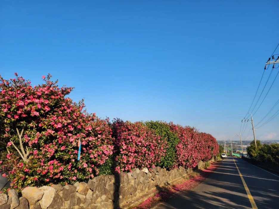 KakaoTalk_20221227_053634383_07.jpg?type=w1